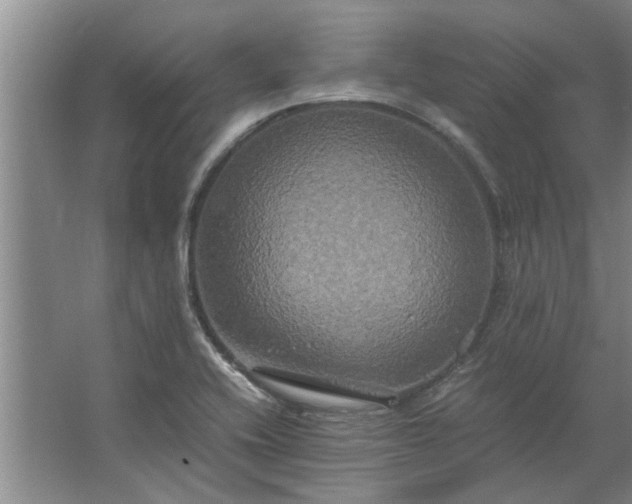 X0000062621416200512281517