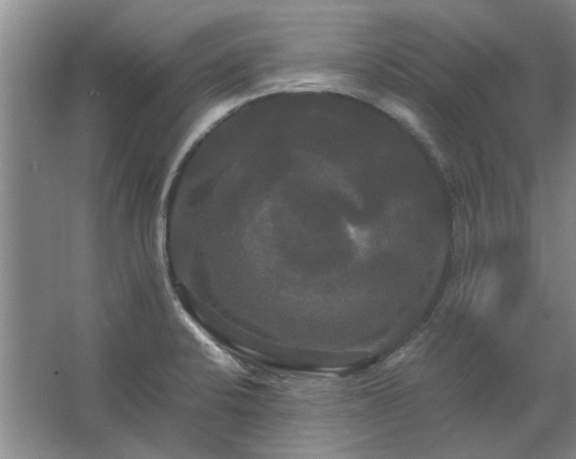 X0000062621424200512281518