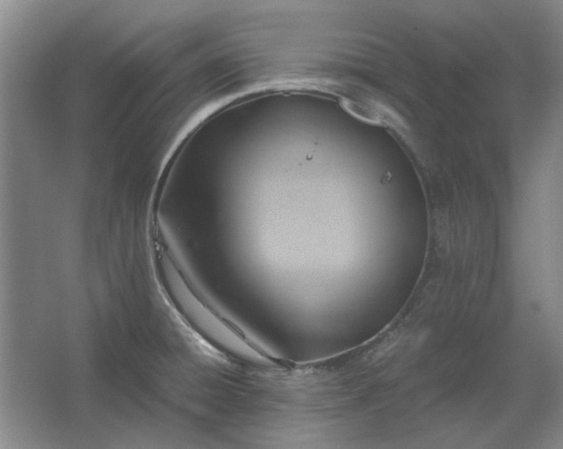 X0000062621428200512281518