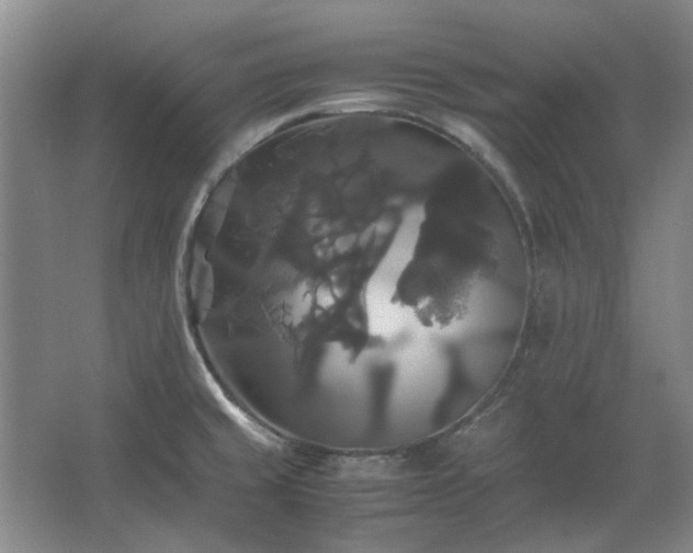 X0000062621429200512281518