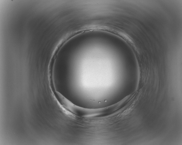 X0000062621430200512281518