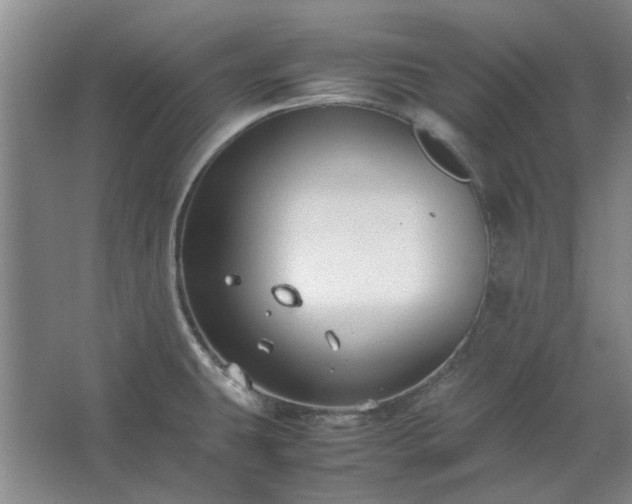 X0000062621431200512281518