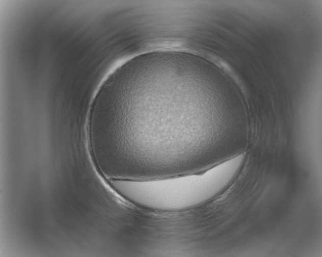 X0000062621432200512281518