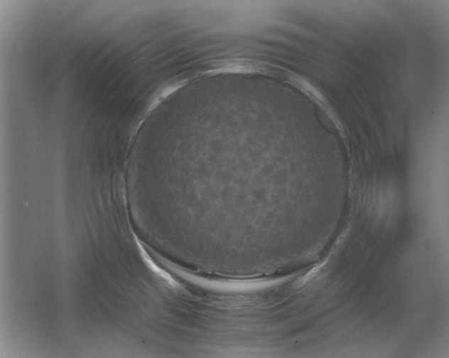 X0000062621433200512281518