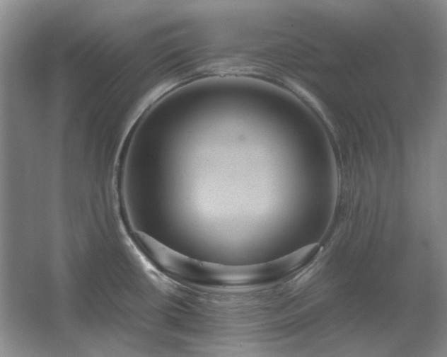 X0000062621434200512281518