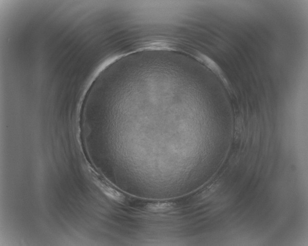 X0000062621435200512281518