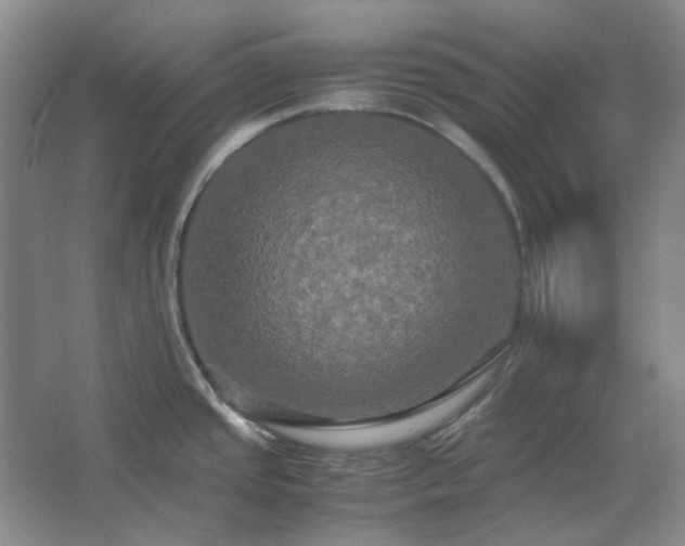 X0000062621437200512281518