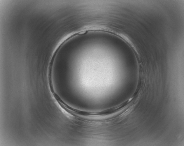 X0000062621438200512281518