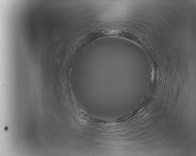 X0000062621441200512281517