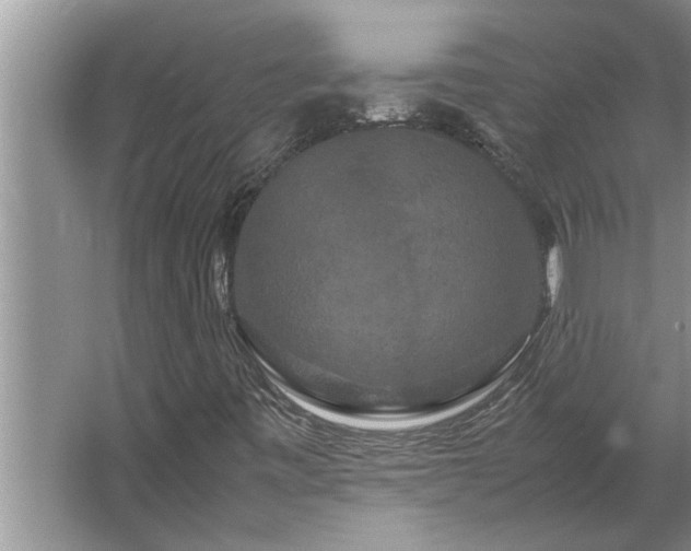 X0000062621443200512281517