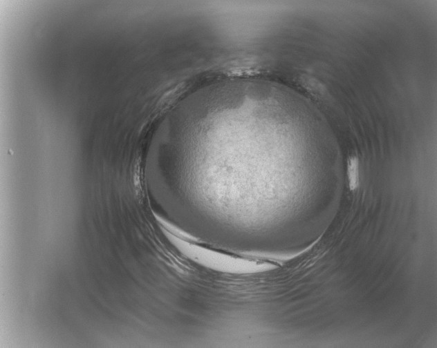 X0000062621444200512281517