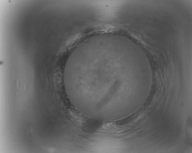 X0000062621447200512281517