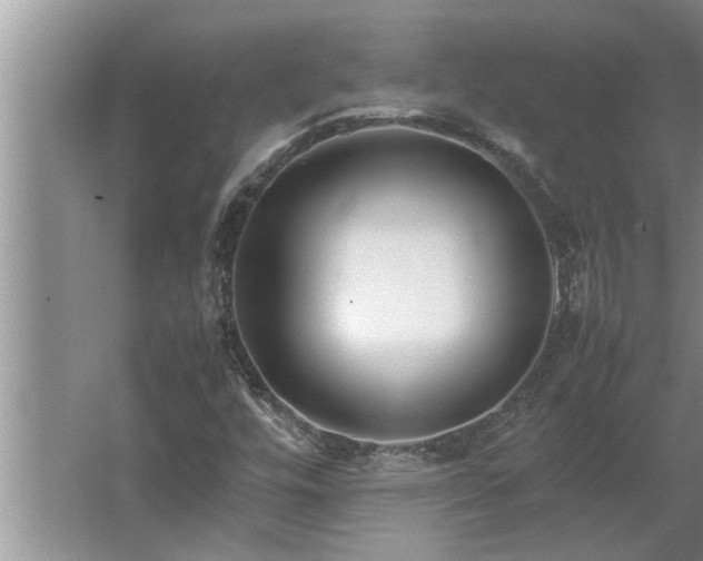 X0000062621448200512281517