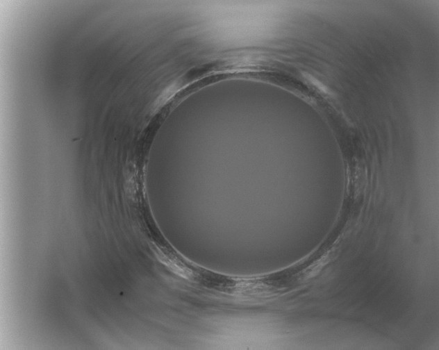 X0000062621449200512281517