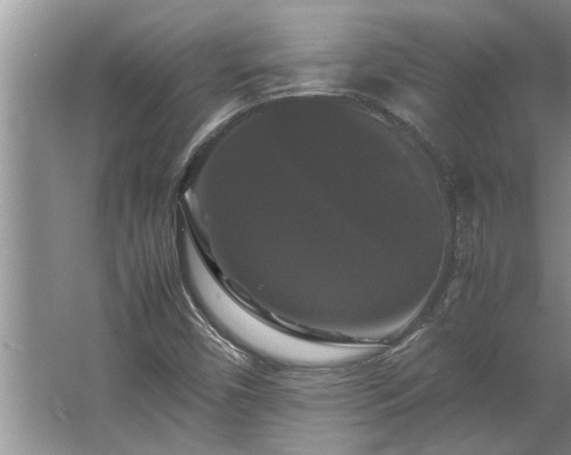 X0000062621450200512281517