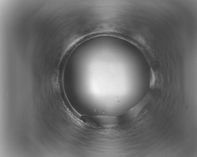 X0000062621452200512281517