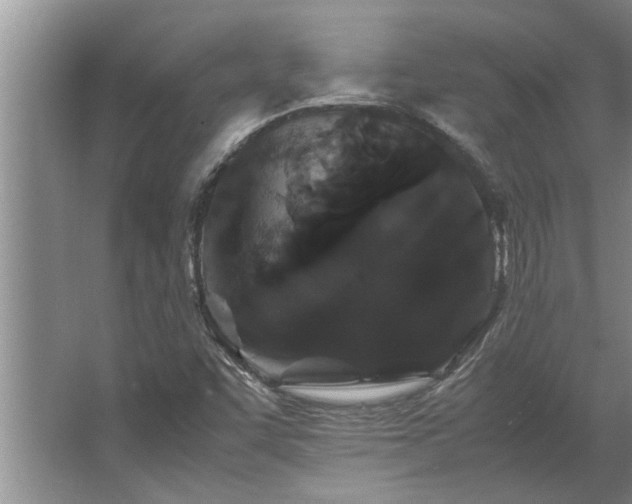 X0000062621455200512281517