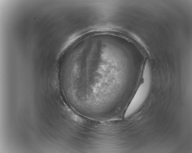 X0000062621456200512281517