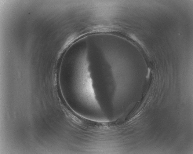 X0000062621459200512281517