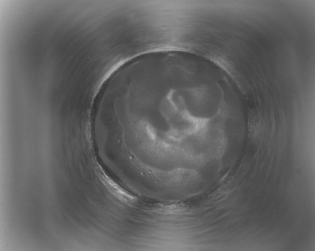 X0000062621460200512281517