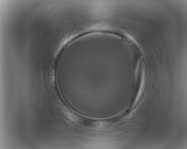 X0000062621461200512281517