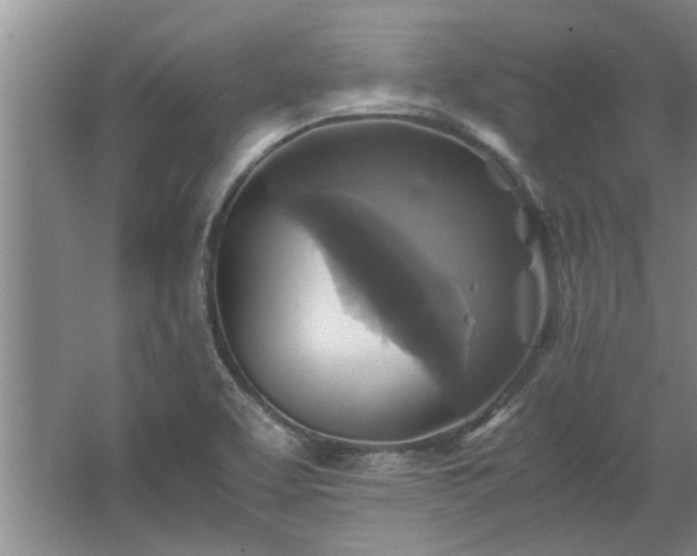 X0000062621463200512281517