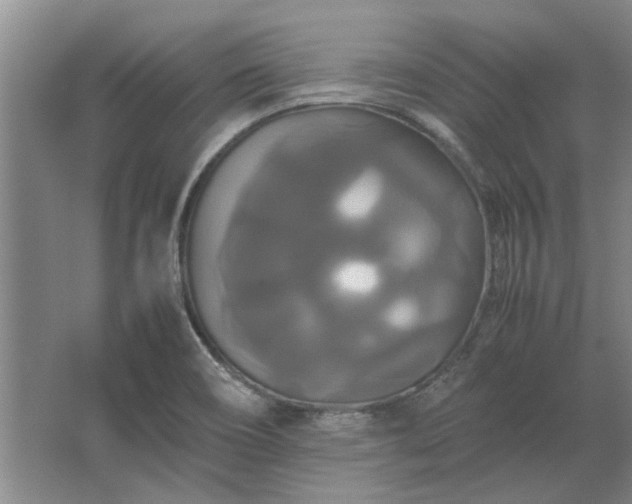 X0000062621466200512281517