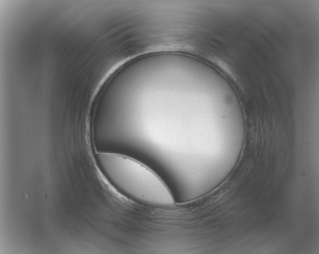 X0000062621468200512281517