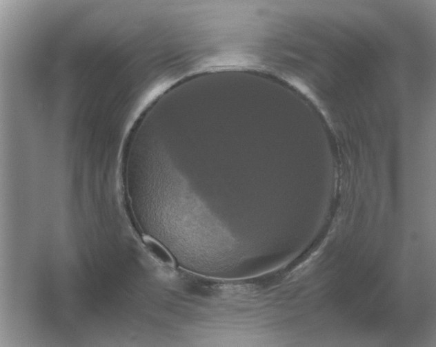 X0000062621469200512281517