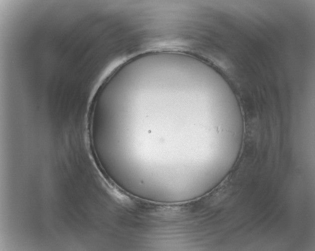 X0000062621470200512281517