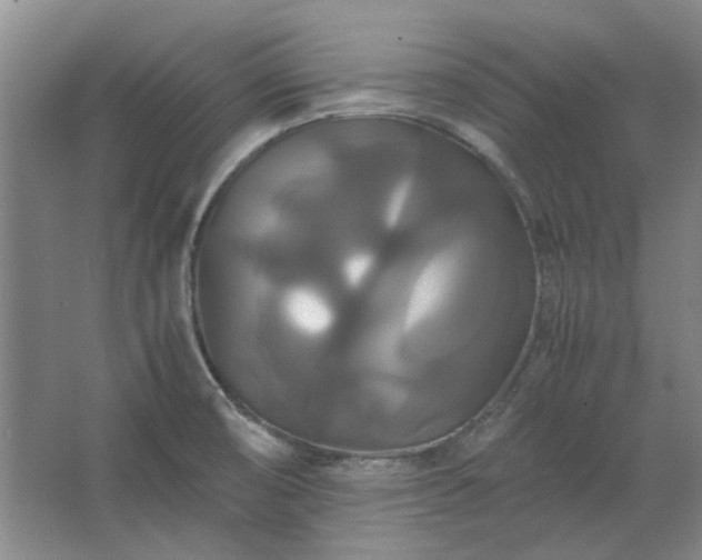 X0000062621474200512281516