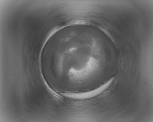 X0000062621475200512281516