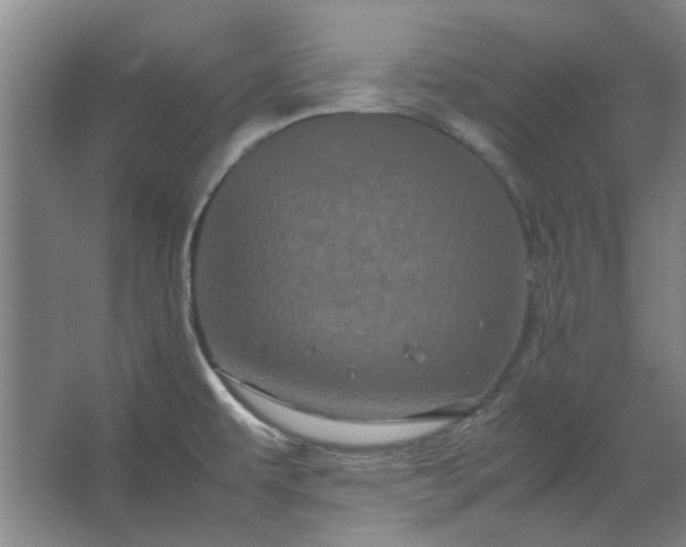 X0000062621479200512281516