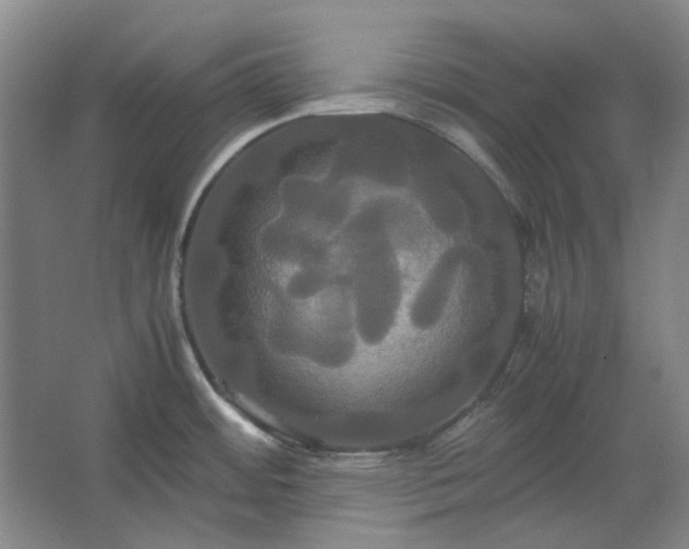 X0000062621484200512281516