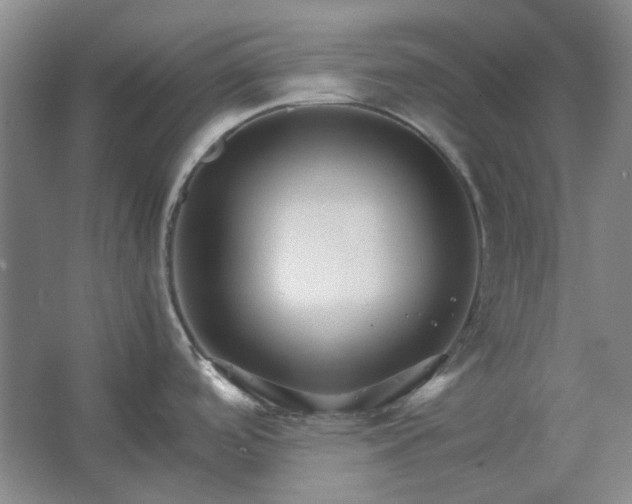 X0000062621488200512281516