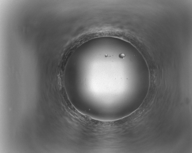 X0000062621493200512281516