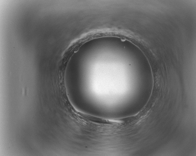 X0000062621494200512281516