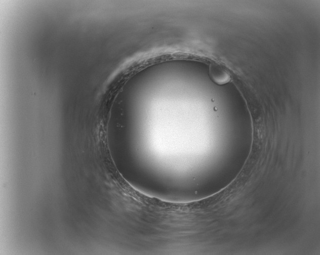 X0000062621495200512281516