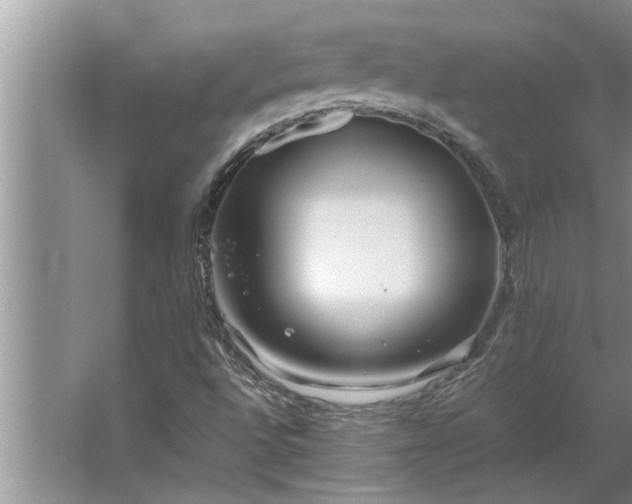 X0000062621496200512281516