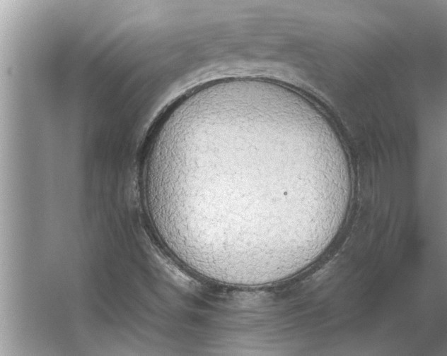 X0000062621498200512281516