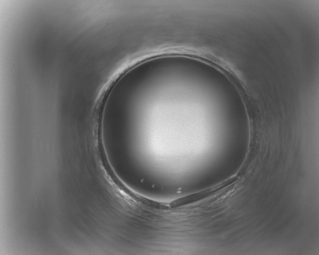 X0000062621504200512281516