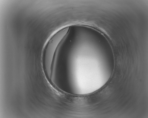 X0000062621508200512281516