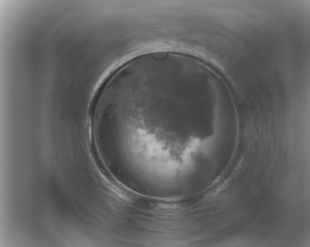 X0000062621509200512281516