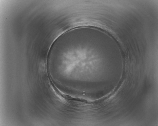 X0000062621513200512281516