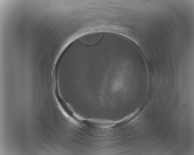 X0000062621515200512281516