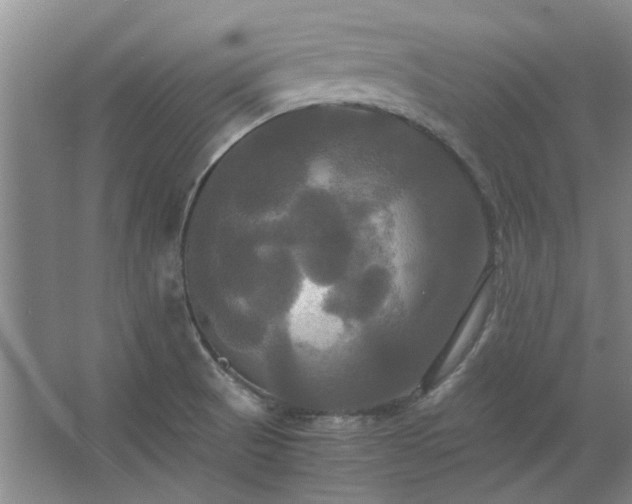 X0000062621521200512281516