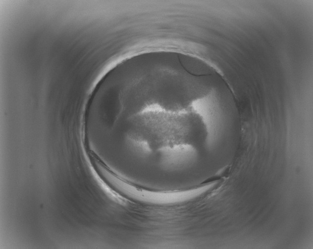 X0000062621523200512281516