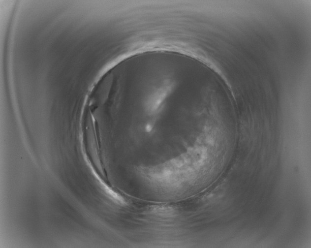 X0000062621525200512281516