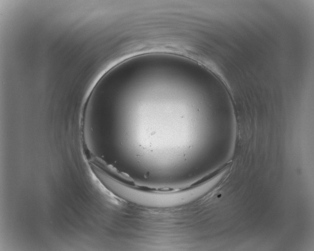 X0000062621532200512281516