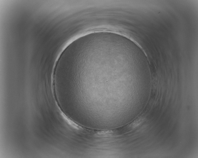 X0000062621535200512281516